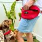 Preview: DOOG - Neosport Neoprene Dog Collar Red - Gr. L Preview: DOOG - Neosport Neoprene Dog Collar Red - Gr. L